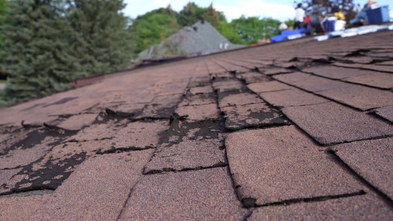 Best Rubber Roofing (EPDM, TPO)  in Suffolk, VA