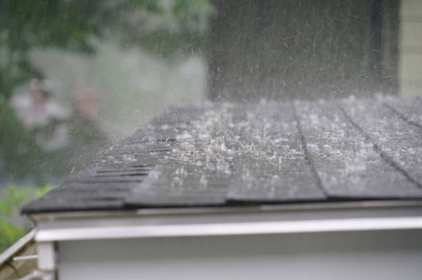 Best Roof Leak Repair  in Suffolk, VA