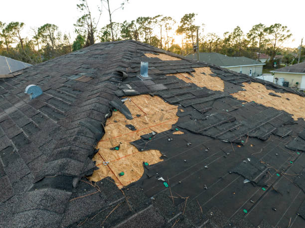 Best Roof Coating and Sealing  in Suffolk, VA