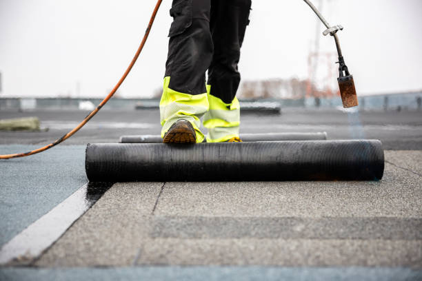 Best Roof Insulation Installation  in Suffolk, VA